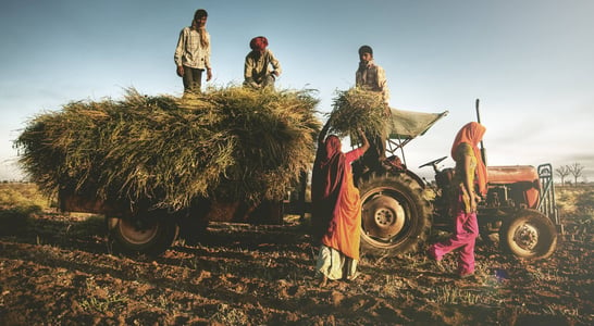 National Farm Workers Day