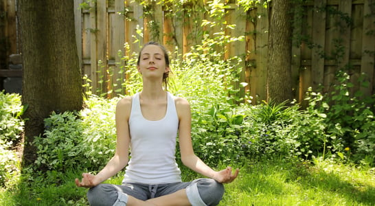 National Garden Meditation Day