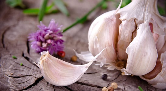 National Garlic Day