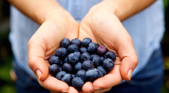 Pick Blueberries Day