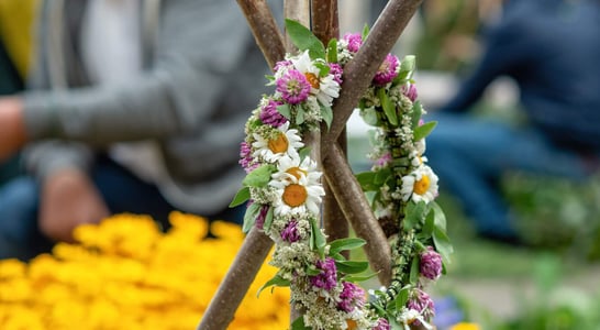 Haybuis Armenian Herb Festival