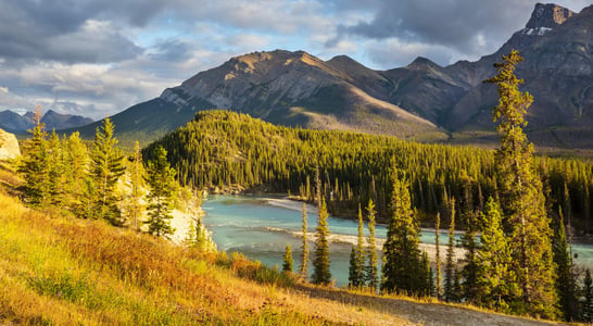 Heritage Day in Alberta