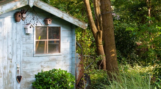 Hug A Shed And Take A Selfie Day