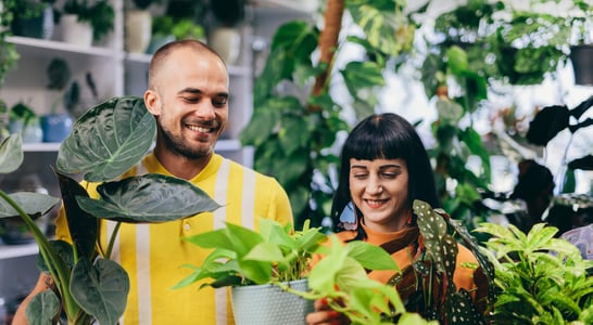 International Day of Plant Health