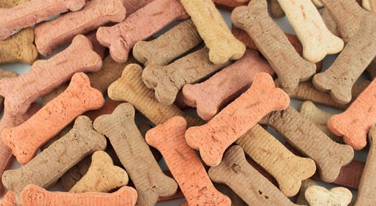 International Dog Biscuit Appreciation Day