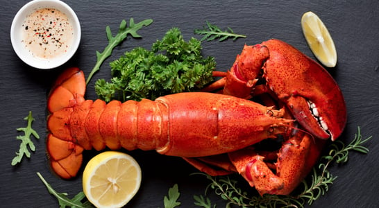 National Lobster Thermidor Day 