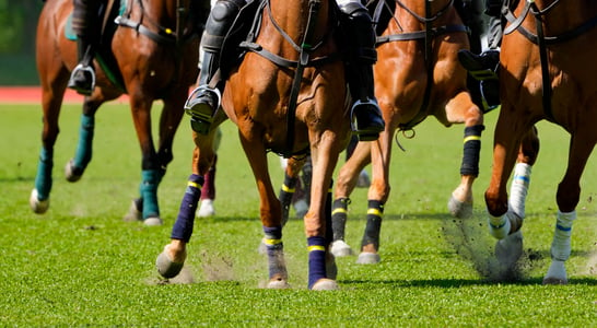 Melbourne Cup Day