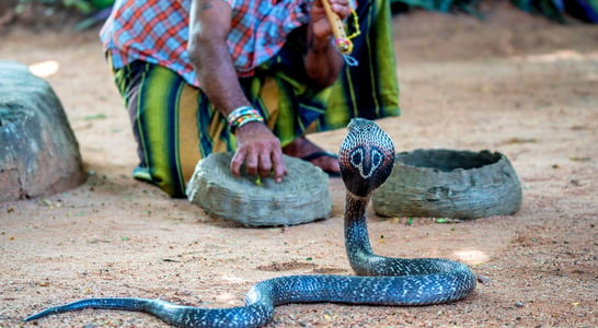 Nag Panchami