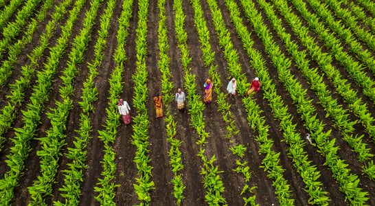 National Agriculture Week