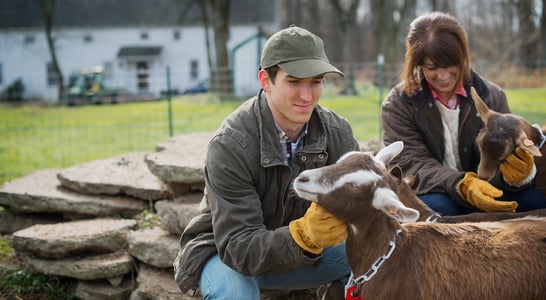 National Animal Safety and Protection Month