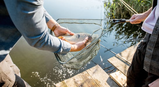 National Catch and Release Day