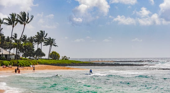 National Hawaii Day