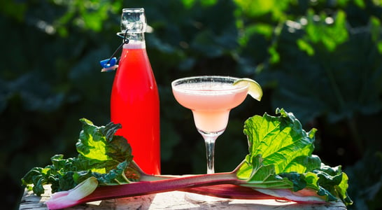 National Rhubarb Vodka Day