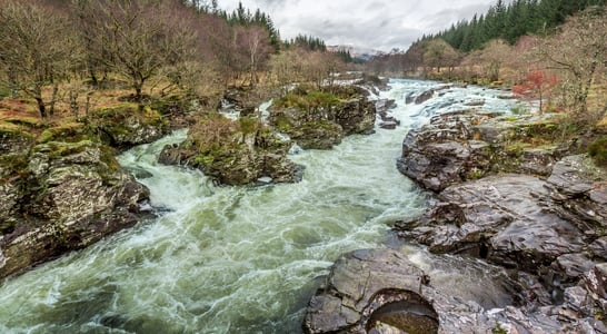 National Rivers Month