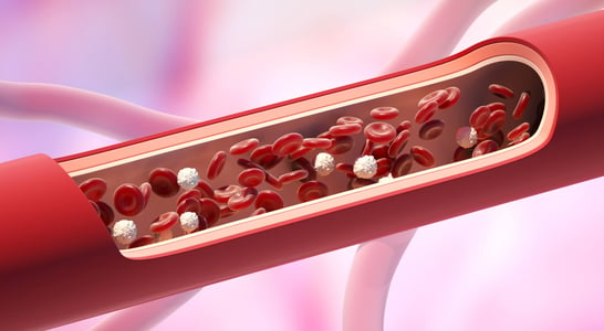 National Triglycerides Day