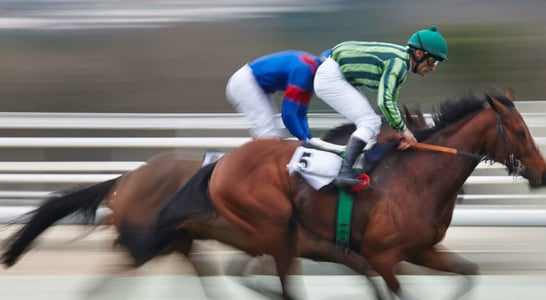 Palio Horse Race in Siena