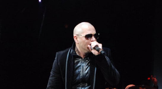 Pitbull