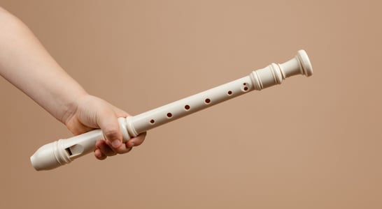 Play the Recorder Day