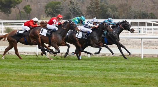 Preakness Stakes