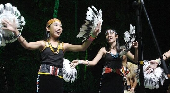 Rainforest World Music Festival