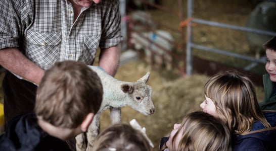 Royal National Agricultural Show Day Queensland