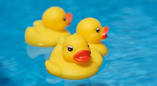 National Rubber Ducky Day