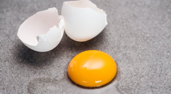 Sidewalk Egg Frying Day