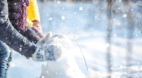 Snow Sculpting Week