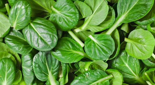 National Spinach Day