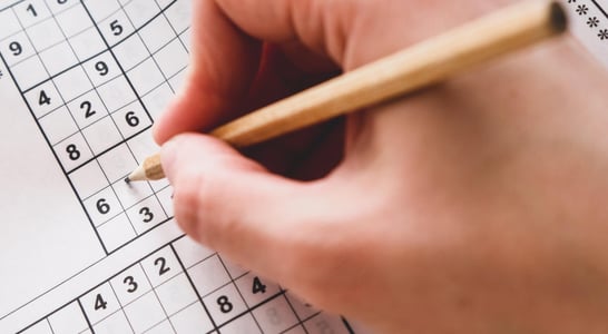 International Sudoku Day