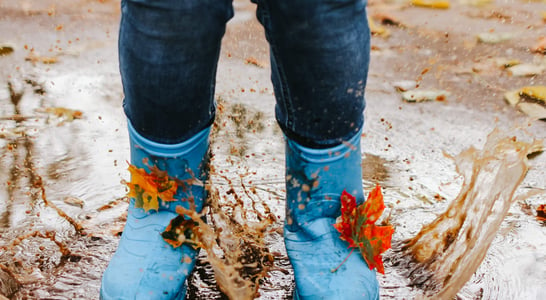 Gumboot Friday