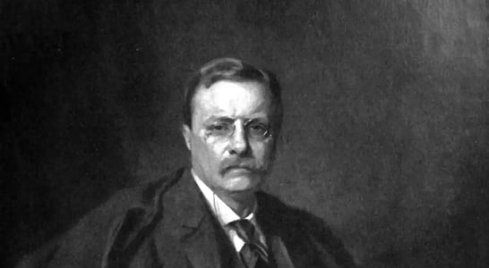 Theodore Roosevelt