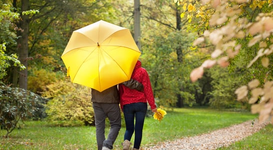 National Umbrella Day