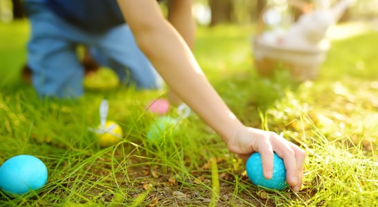 White House Easter Egg Roll