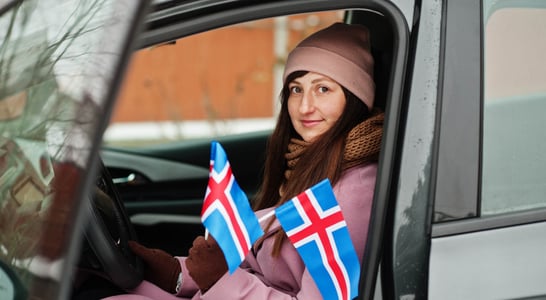 Icelandic Language Day