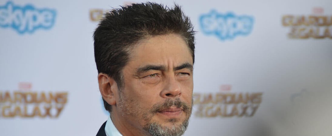 Benicio del Toro