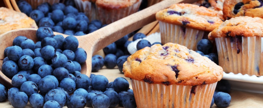 National Blueberry Muffin Day