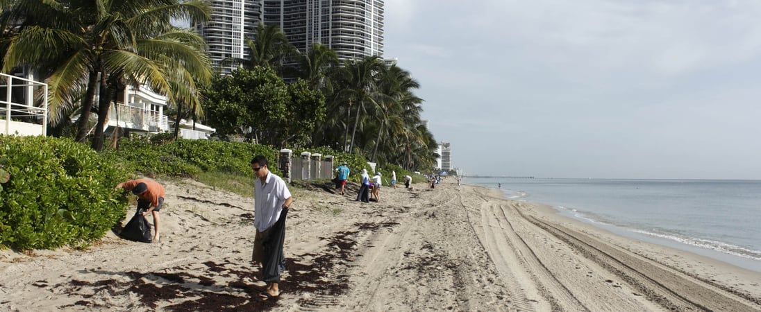 International Coastal Cleanup Day