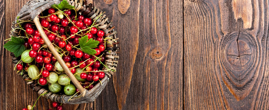 Cranberries and Gooseberries Month