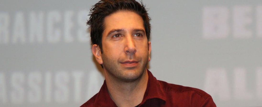 David Schwimmer