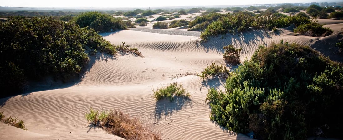 World Sand Dune Day