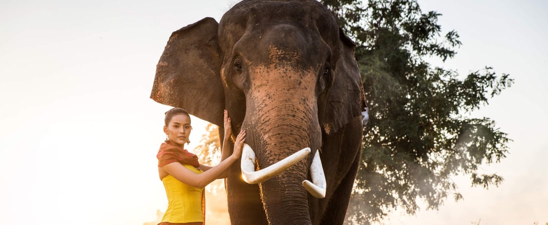 Elephant Day in Thailand