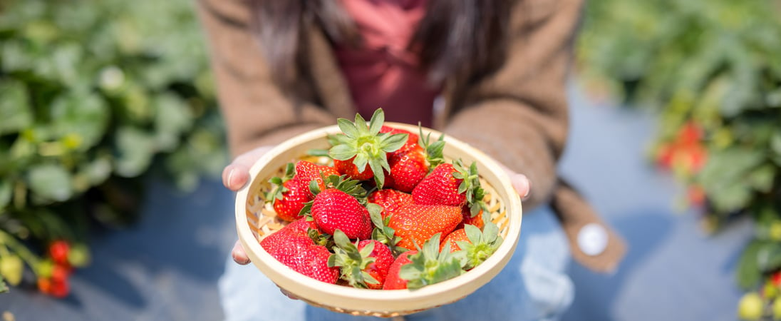 Fabulous Florida Strawberry Month