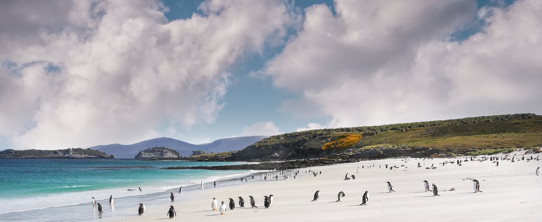 Falkland Islands Liberation Day