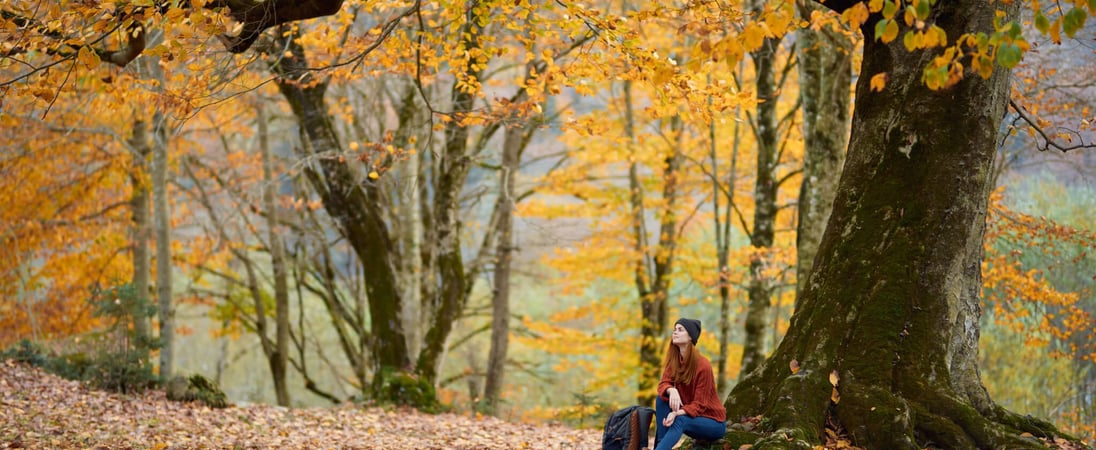 First Day of Autumn