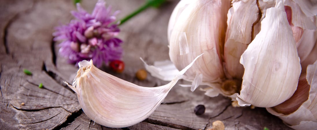 National Garlic Day