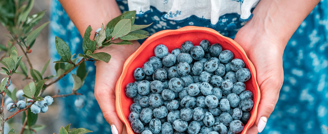 Georgia Blueberry Month