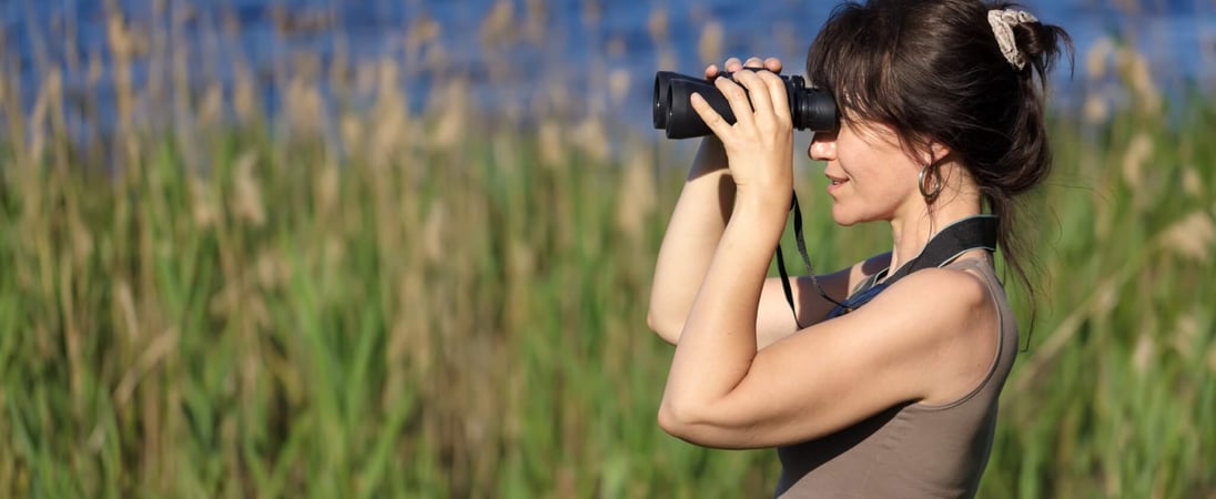 National Go Birding Day