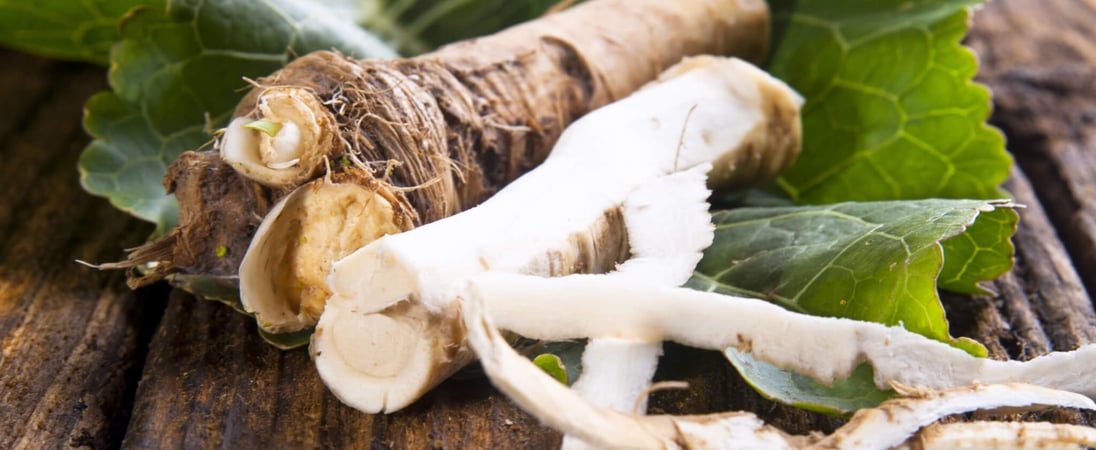 National Horseradish Month