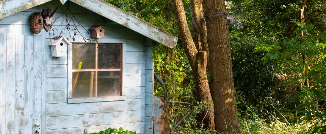 Hug A Shed And Take A Selfie Day